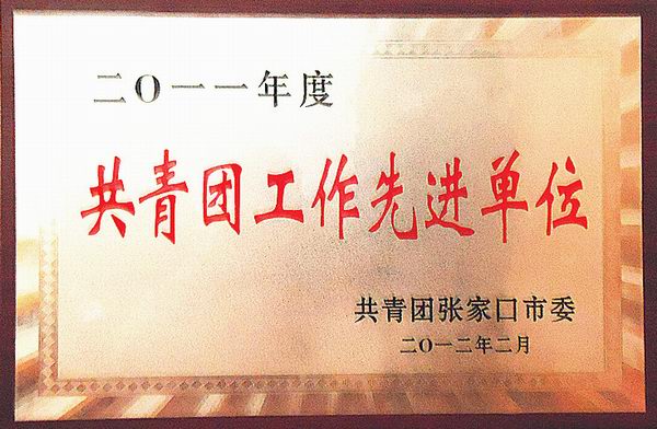 热烈祝贺我院团委获得“五四红旗团委”荣誉称号