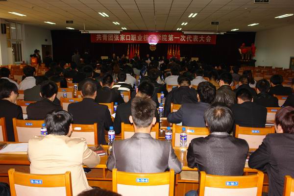 我院共青团第一次代表大会圆满闭幕