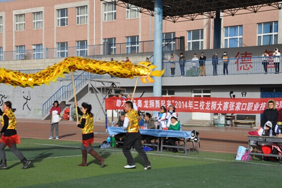 张家口高校首届龙狮表演决赛在我院成功举办
