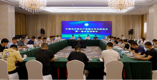 我院当选中国电子商会产教融合专业委员会副理事长成员单位